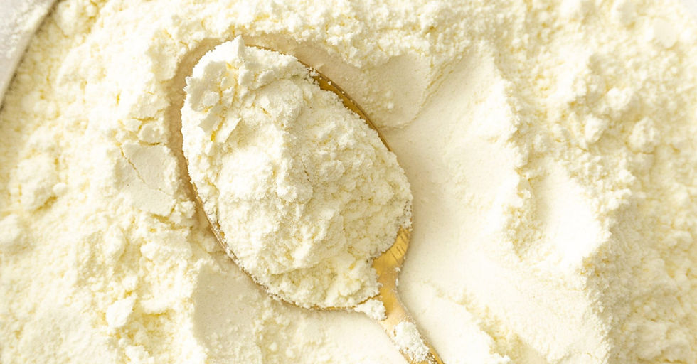 custard Powder supplier
