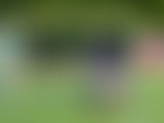 Freitag,16.06.2023-18:45 Uhr 23. K&F-Turnier Alte Herren: SV Veitshöchheim - TSG Waldbüttelbrunn 2:2