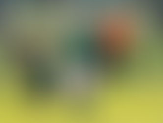 U 15 Mädchen: SV Veitshöchheim - FC Schweinfurt 05 0:2 (0:1)