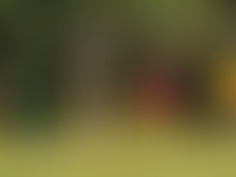 01.08.2021 Herren: TSV Erlabrunn - SV Veitshöchheim 1:4