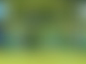 So. 11.08.2024 - 15:00 Uhr I Herren: SV Waldbrunn - SV 1928 Veitshöchheim 2:2