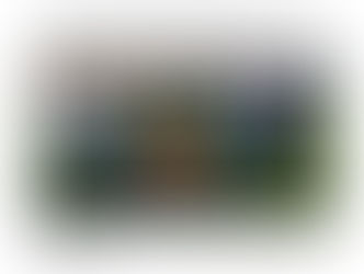 Die U13-1 bedankt sich ganz herzlich für die Trikotspende beim Sponsor Fielmann Würzburg!