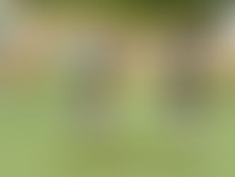 29.08.2026 - 14:00 Uhr, KL-Gr 2 WÜ Herren: SV Veitshöchheim - FC 1920 Thüngen 4:1