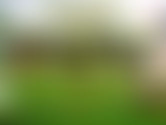 25.07.2021 Spielergebnisse der Damen und Herren