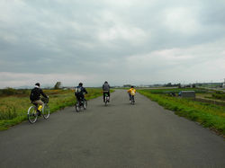 堤防からの風景
