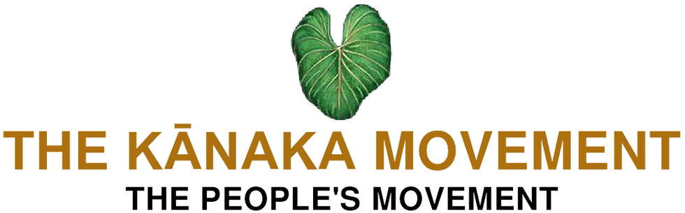 KP-LOGO (PNG) - Cropped.png