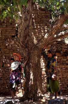 Haut Atlas Bougmez 026.jpg