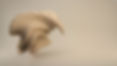 3D Wooden Figure