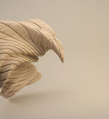 3D Wooden Figure