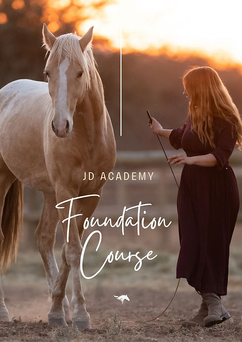 Academy1.jpg