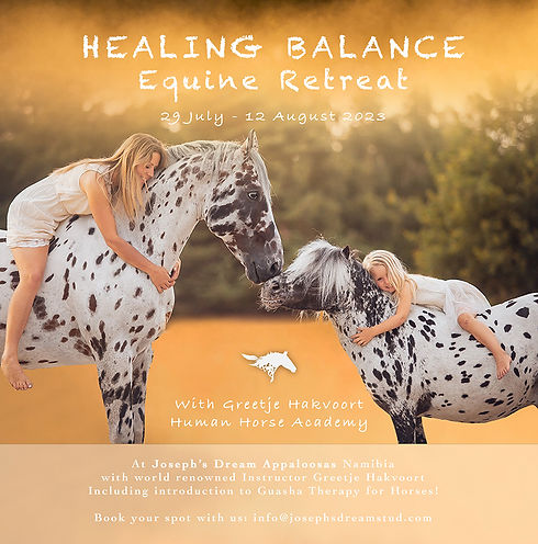 Healing Balance - web.jpg