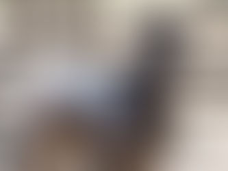 Welcome Joseph's Dream White Feather 