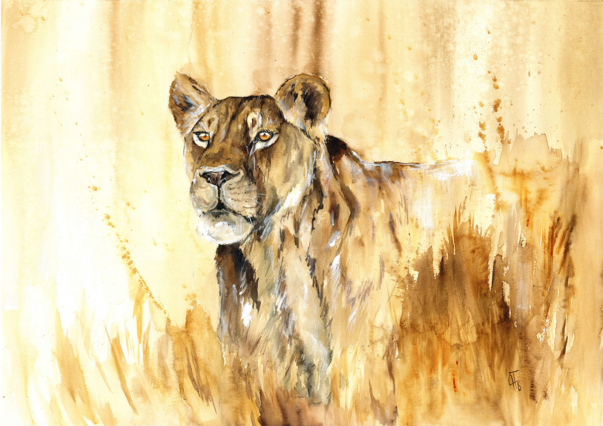 "encounter" - original watercolour painting - by Annika Funke - Namibia