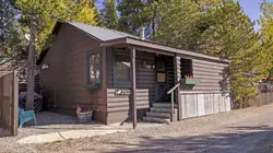 Moose Cabin