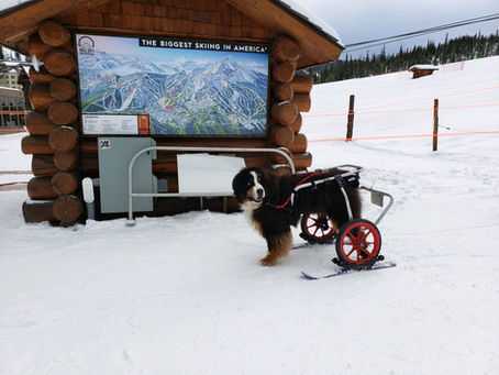 Bridger At Big Sky Resort in Montana