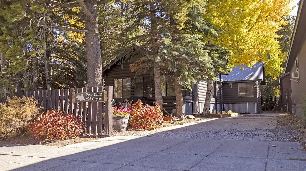 Bear Cabin