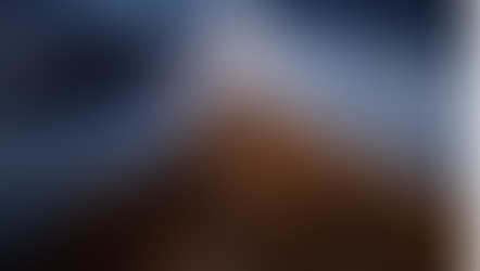 IN FOCUS WOMEN PROFILE- Steph Vella