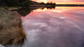 IN FOCUS WOMEN IN PROFILE - VICKI-LOUISE WHITE