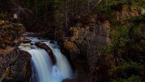 IN FOCUS WOMEN IN PROFILE - Robyn Wright