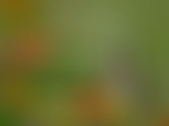 Let's Talk About the "A" Word: Authenticity