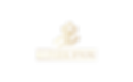 Transparent.png