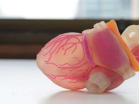 Artificial Organs: Future Savior of Many