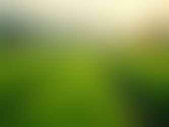 Regenerative Farming: A Key to Sustainable Agriculture in SVG