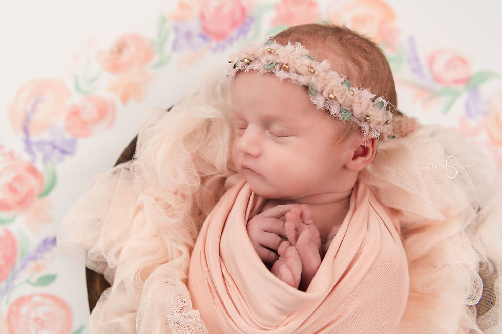 What to Expect at your Newborn Photo Session