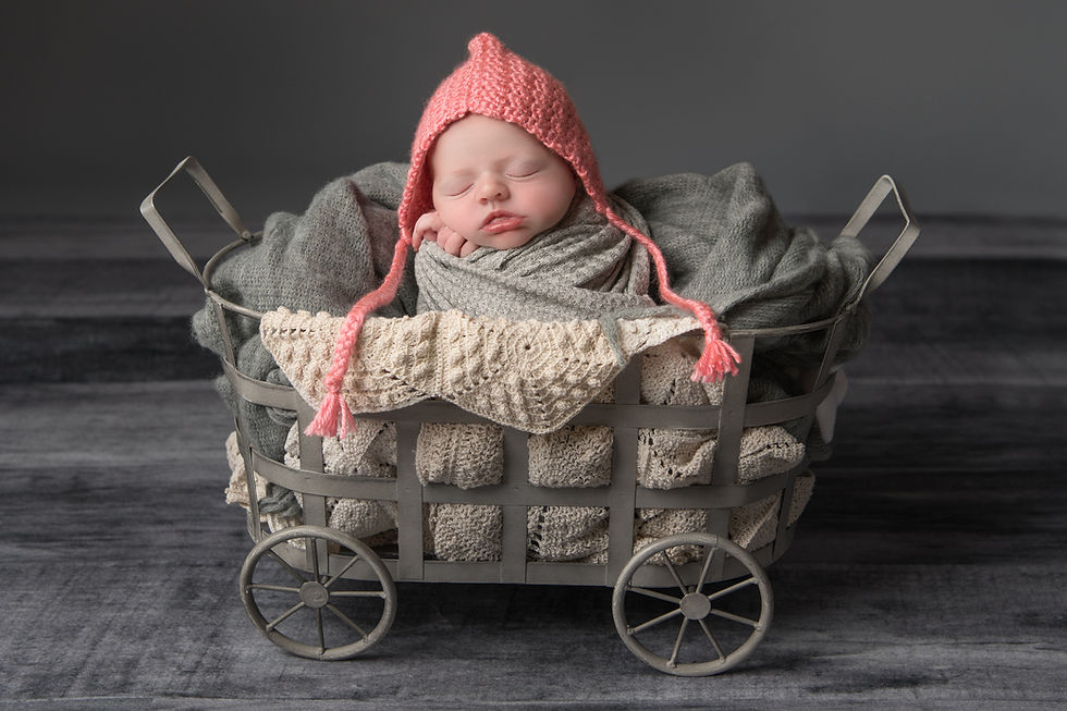 newborn photography in carriage prop