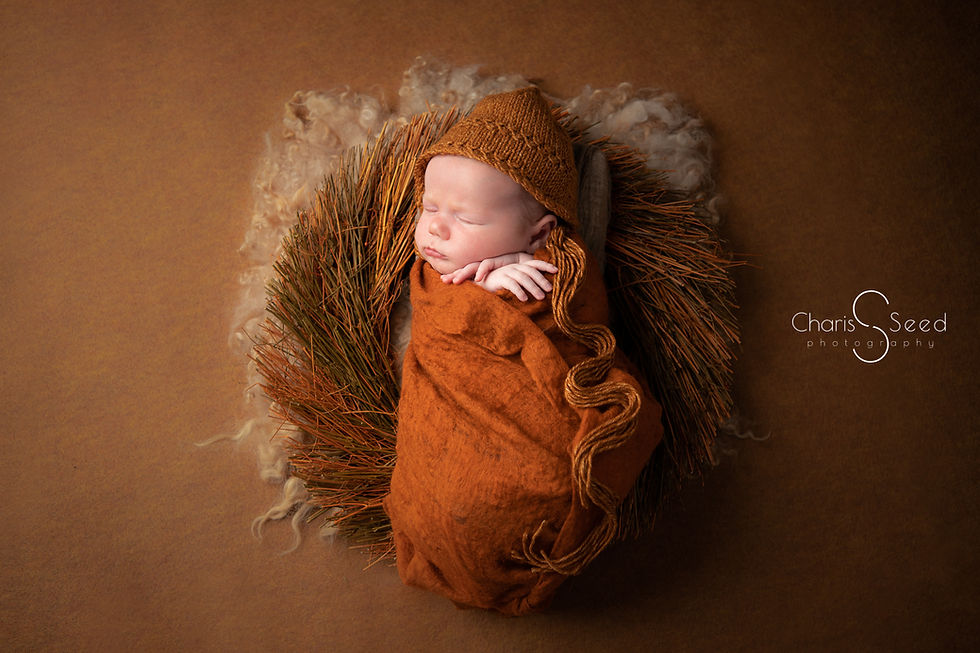 newborn boy in orange autumn colors