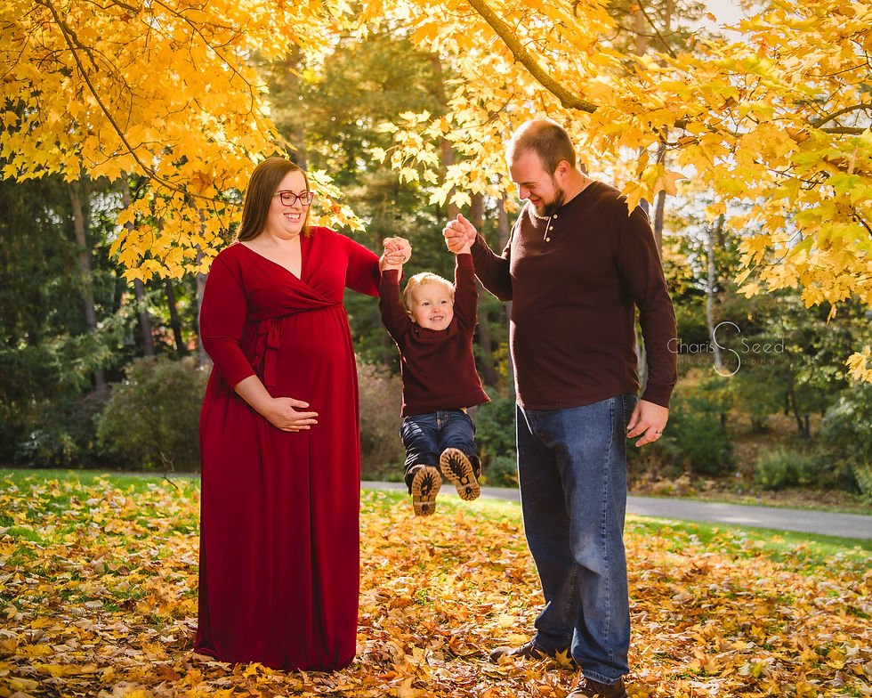 Little bOy swinging in parents hands
