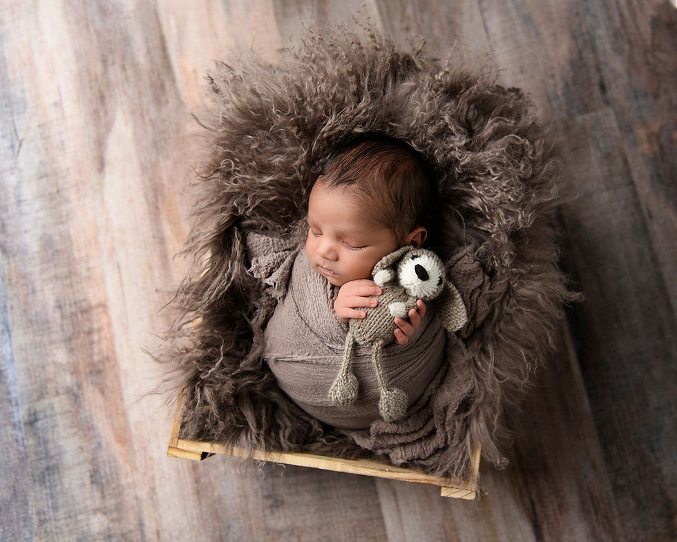 Newborn in basket with puppy