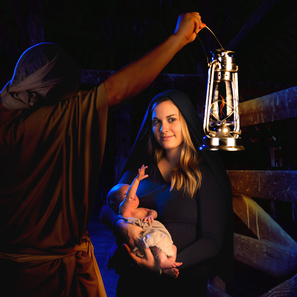A sheep by a manger with a baby.