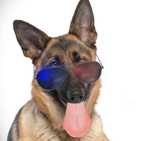 Video Production in Madison Wisconsin. Retail Video Marketing and Production.