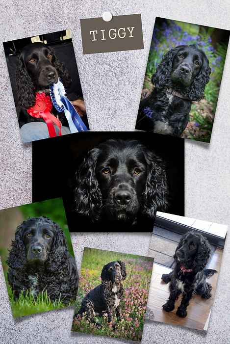 Beige Aesthetic Style Moodboard Pinterest Pin (5).png