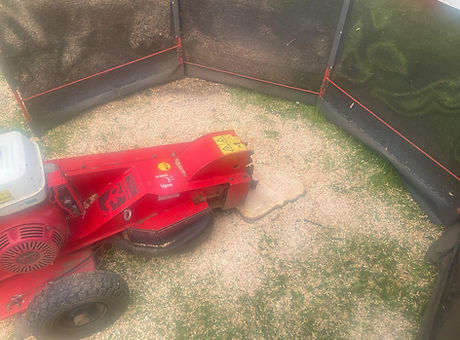 stump removal.jpeg