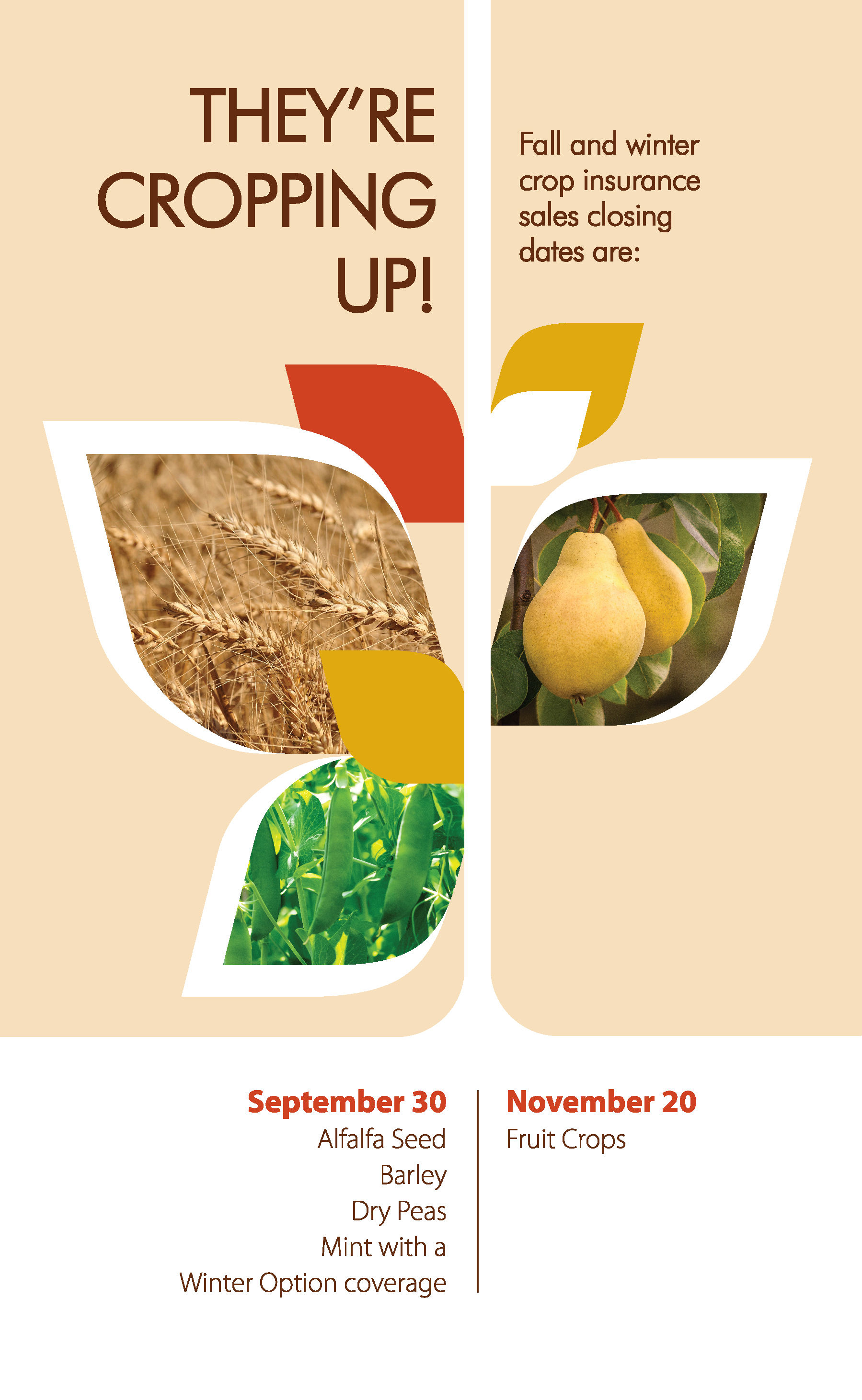 They're Cropping Up! Crop Insurance Deadlines