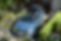 NASCENTE_PRINCIAPAL_VIEW.jpg
