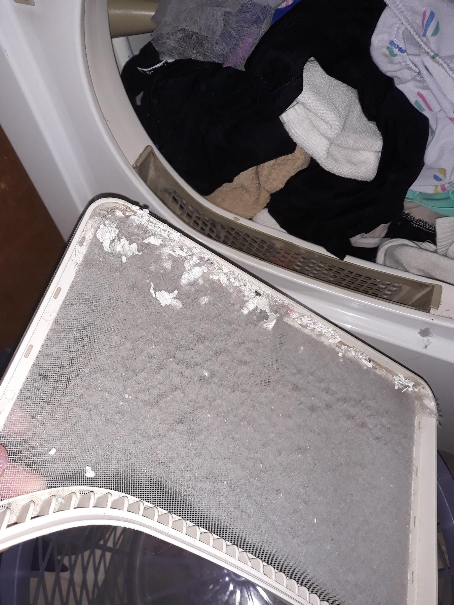 Dryer Vents & Screens