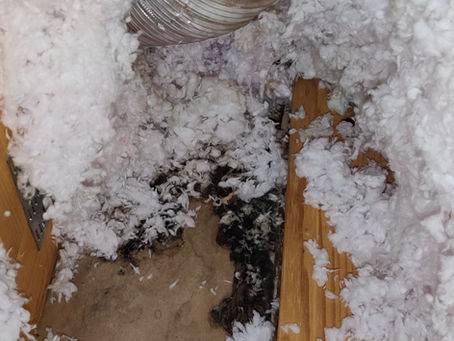 Hidden under 16 inches of insulation!