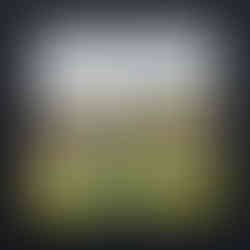 plein air painting of the French Riviera at the Nouvelle Galerie Massillon for Christmas 2025 Marc Dalessio, Angie Brooksby