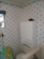 Bathroom/Before