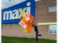 MAxi 1.png