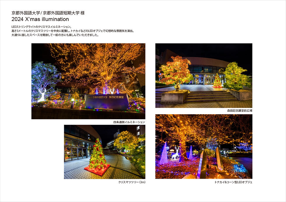 2024 X’mas illumination