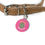 Thumbnail: Sharp Hugs Pet Tag