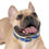 Thumbnail: Nuke Inspired Dog Collar - Waterproof and Hypoallergenic 
