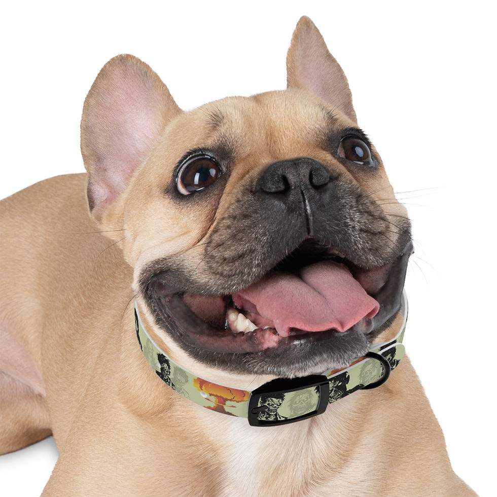 Thumbnail: Ghoul Inspired Dog Collar - Waterproof and Hypoallergenic 