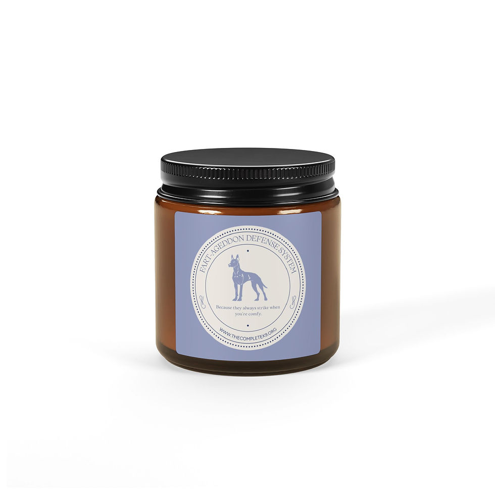 Fart-Ageddon Defense System - Funny Scented Soy Candle (Multi-Size, Amber Jar)