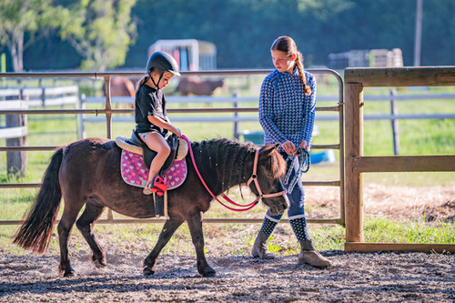 Tinkbell Racer Sponsor a Horse - Tinkerbell (Annual) | Racing Hearts