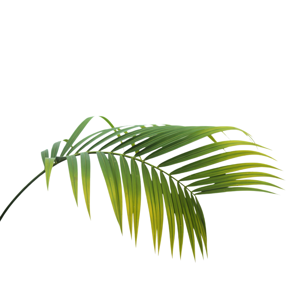 Untitled design(71).png